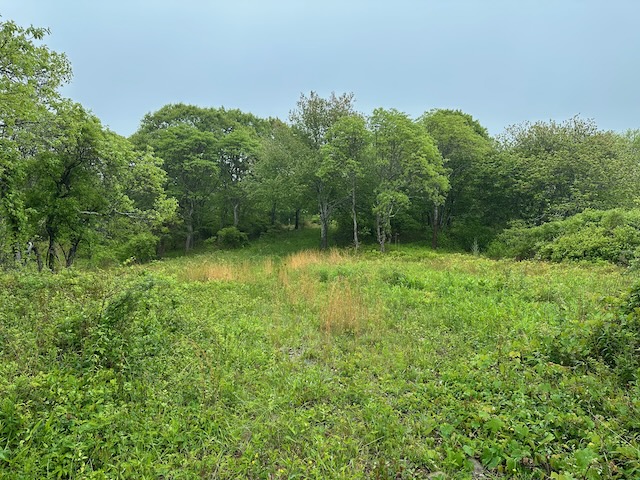 Featured Properties on Martha's Vineyard